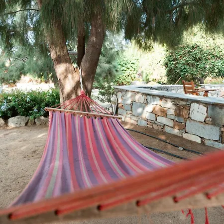 Sunrock - Jasmine 3*