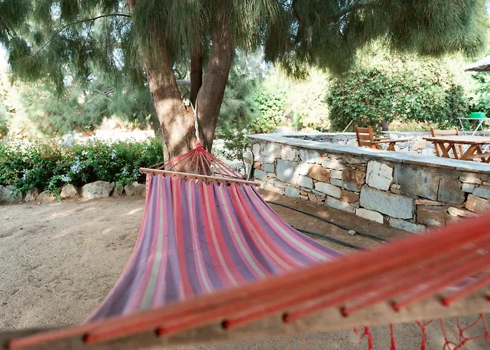 Sunrock - Jasmine 3*